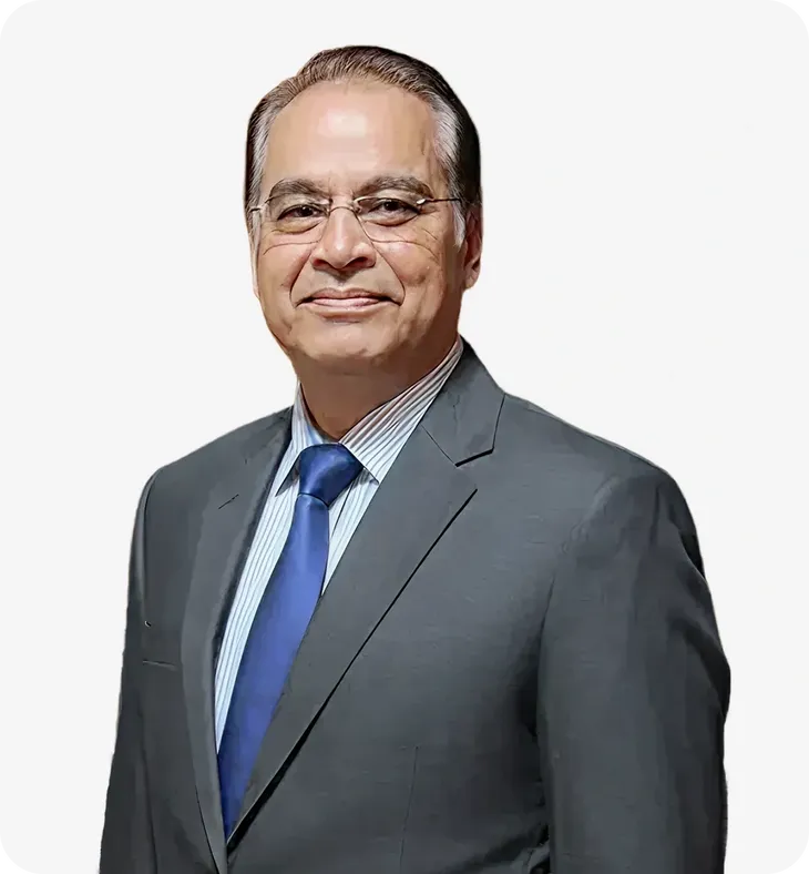 B.S. Chauhan, Founder and Principal Consultant